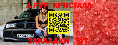 эйфоретик Гатчина