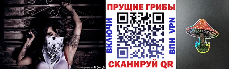 blacksprut ссылка  Армавир  Псилоцибиновые грибы Psilocybine cubensis  купить наркотики сайты 