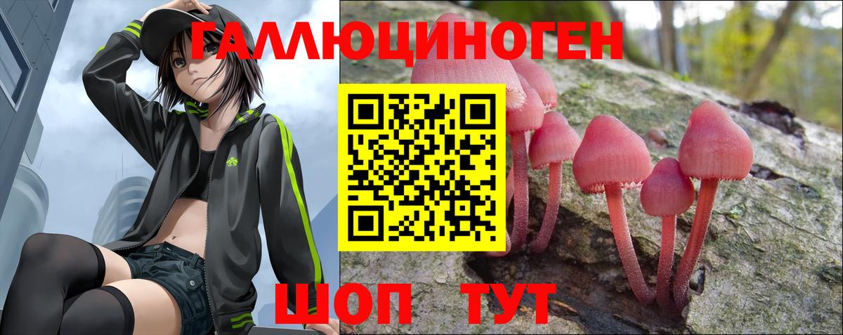 Псилоцибиновые грибы Psilocybe Армавир