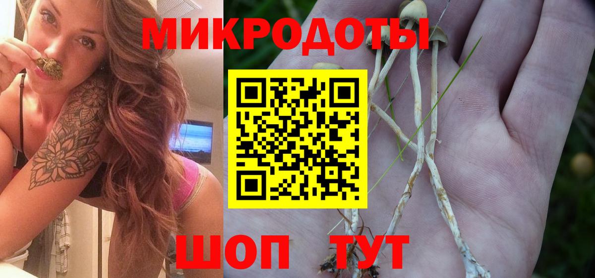 Армавир  Галлюциногенные грибы мухоморы  Вход с VPN 